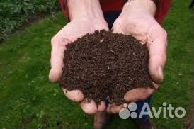 Удобрения Биогумус, торф, перегоной чернозем