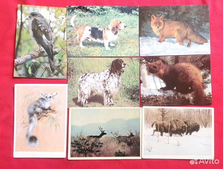 Открытки СССР поздравительные