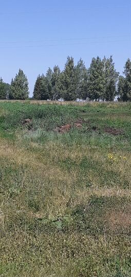 Дом 65 м² на участке 6 сот.