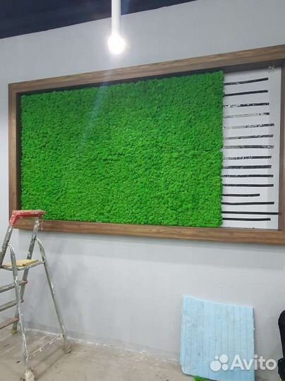 Стабилизированный мох Ягель, Кочка, Пласт