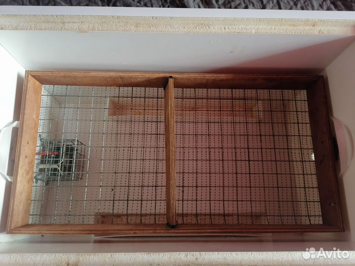 Инкубатор норма лупер