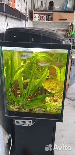 Аквариум 200 литров с внешним фильтром