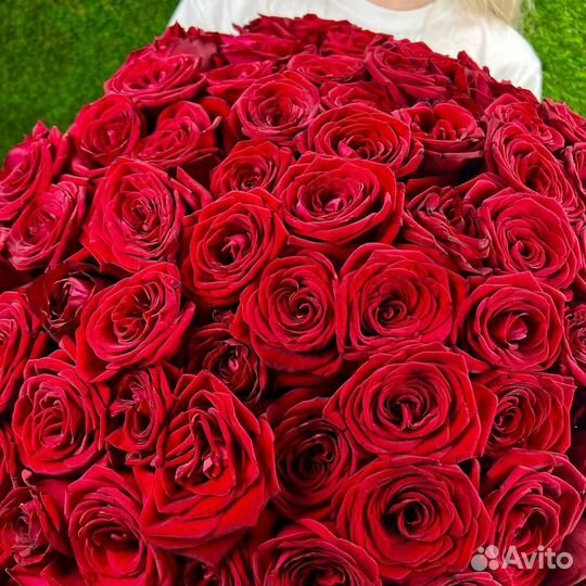 101 красная роза 50 см Крупный бутон Доставка