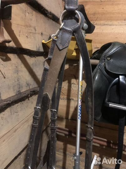 Мартингал, бинты каска вальтрап