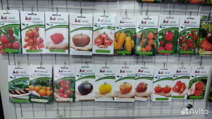 Семена Партнёр, Агрос, Голландские селекционные