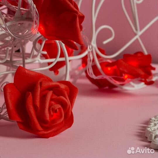 Светодиодная гирлянда LN 