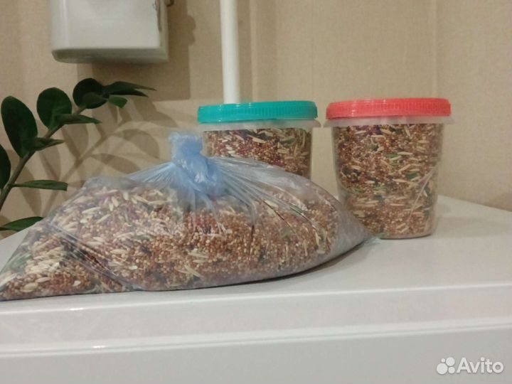 Зерно пшеница ячмень