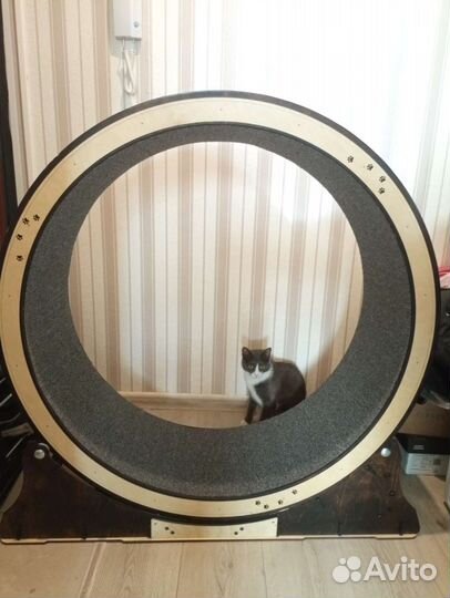 Когтеточка для кошки