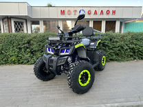 Новый каадроцикл TAO motor warrior 200
