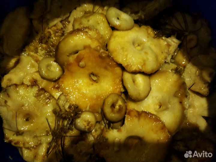 Грибы грузди царские