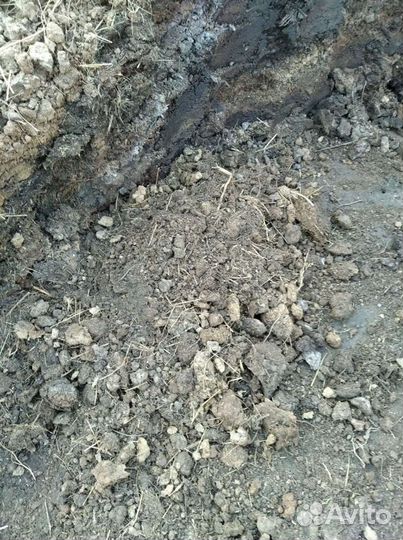 Перегной коровий с доставкой