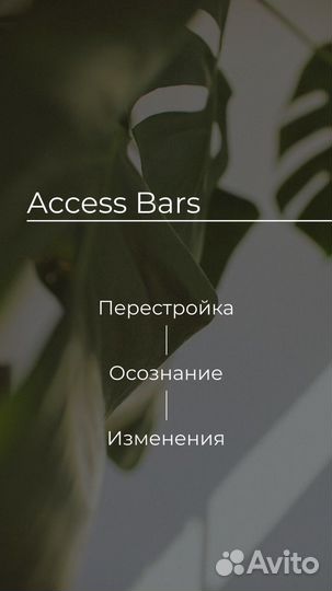 Access Bars Аксесс Барс Энергетический массаж