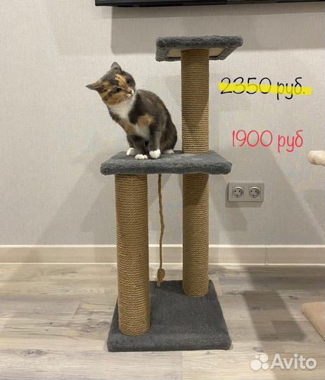 Домик-когтеточка для кошки новый