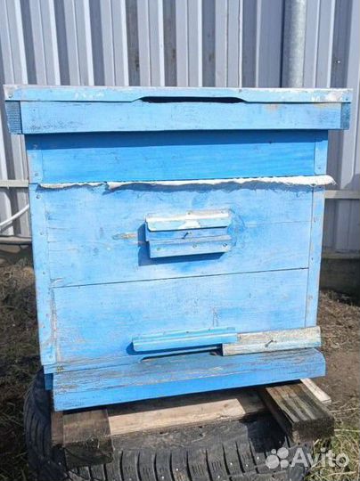 Пчелы и улья