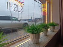 Кафе Кофейня Бар 50м2. На туристическом маршруте