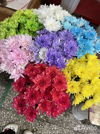 Букет из хризантемы