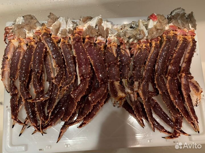 Клешни Камчатского краба