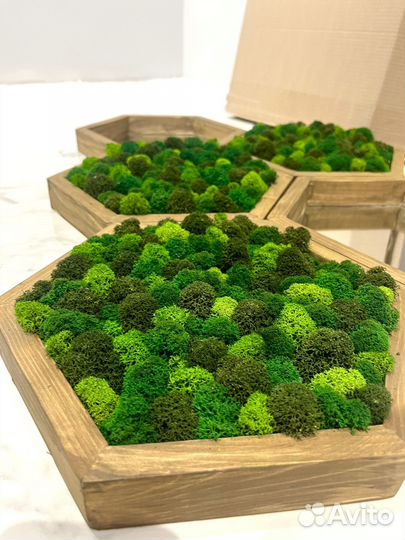 Соты со мхом и зеркалами