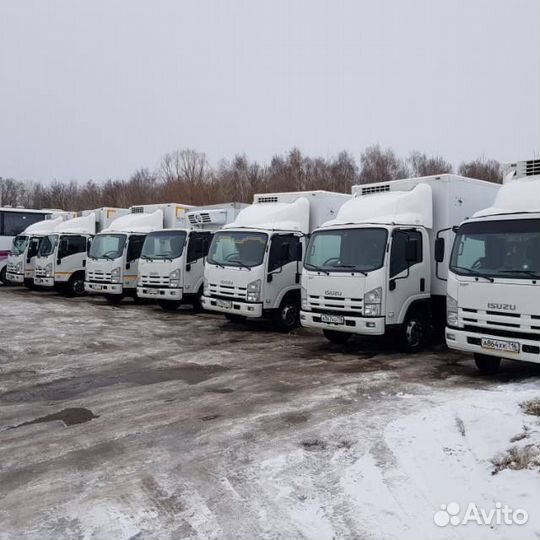 Грузоперевозки (рефрижератор) 5-7,5 тонн. 10-14пл