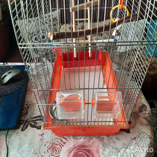 Клетка для попугая