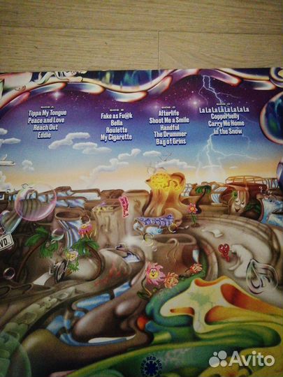 Виниловая пластинка Nirvana,Red Hot Chili Peppers