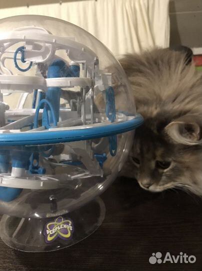 Spin Master головоломка Perplexus Epic