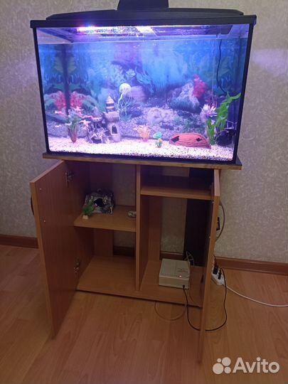 Аквариум с аксессуарами