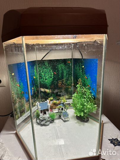 Аквариум