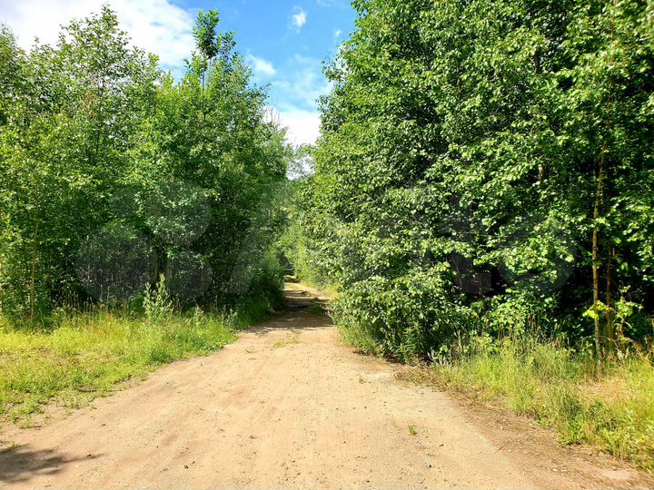 Участок 3,57 га (ИЖС)