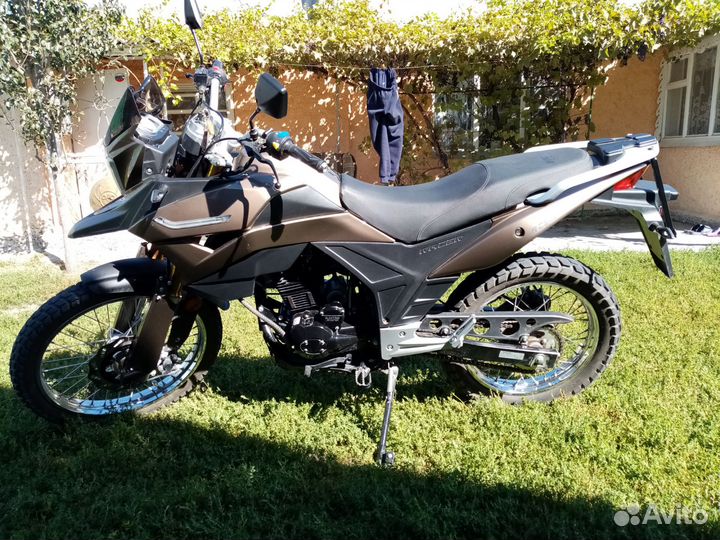 Рейсер рейнджер