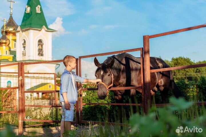 Постой для лошадей