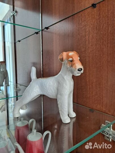 Жесткошерстный терьер фарфоровая статуэтка лфз
