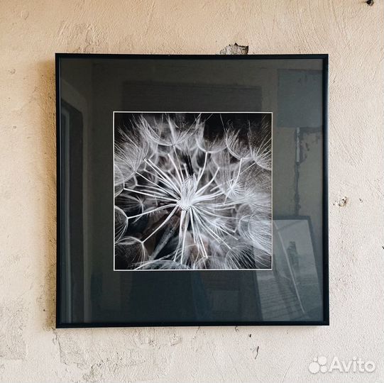 Диптих (2шт 50х50см)