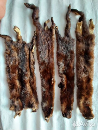 Шкурки норки СССР