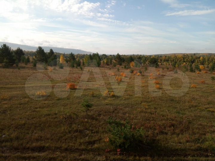 Участок 1,25 га (ИЖС)