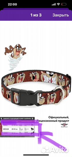 Ошейник для собак
