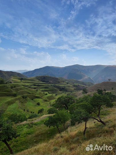 Маршруты по Дагестану/Гайд по Дагестану