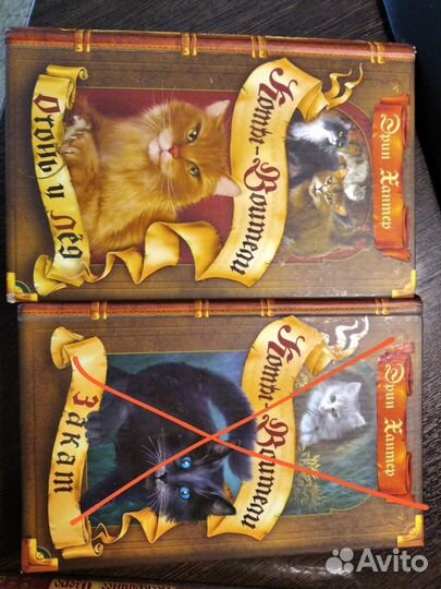Коты воители книги, хроники стаи