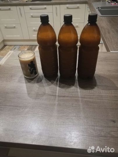 Максым квас