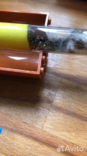 Муравьиная ферма с муравьями