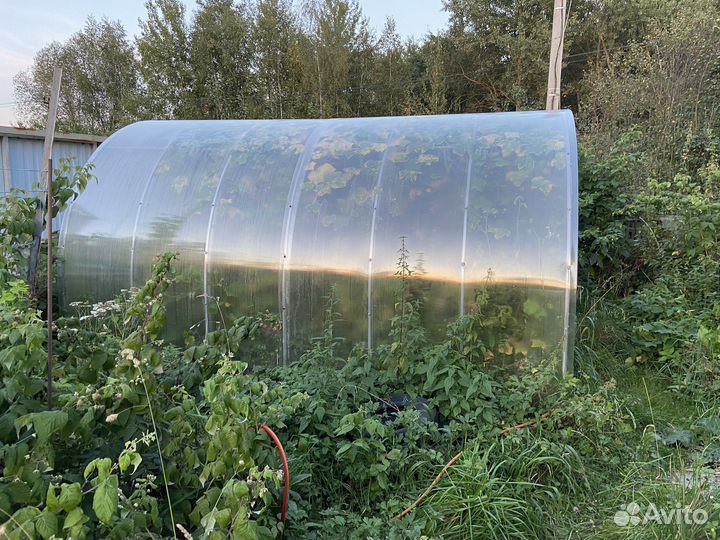 Теплица 3 на 4 бу