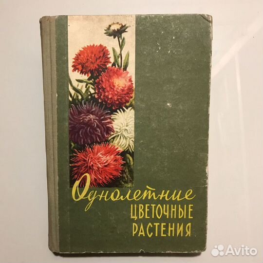 Однолетние цветочные растения