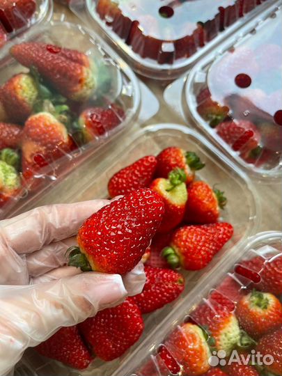 Клубника (Армения )