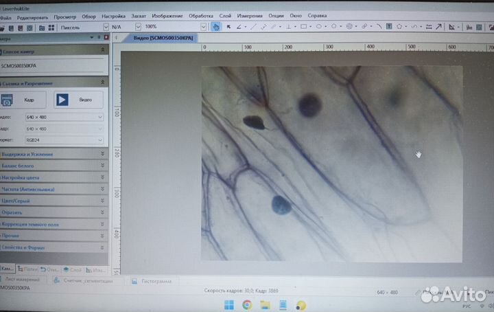 Цифровой микроскоп Levenhuk D2L NG