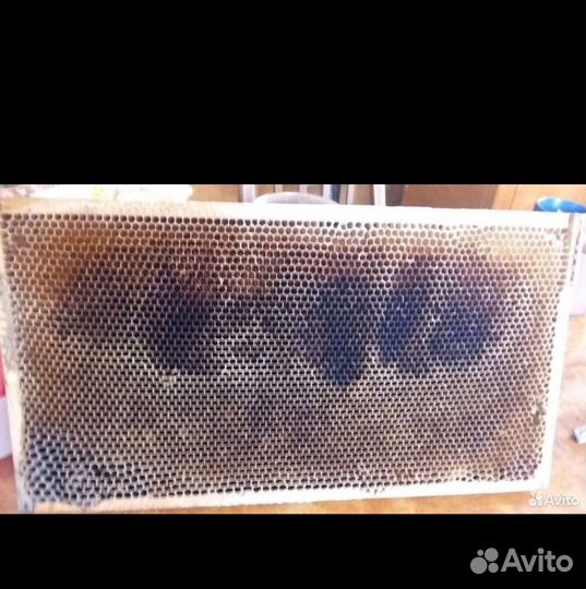 Сушь для пчел