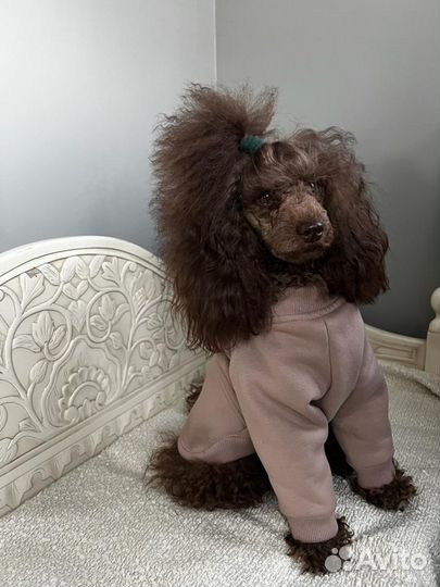 Ателье. Срочный Ремонт одежды. Ремонт сумок