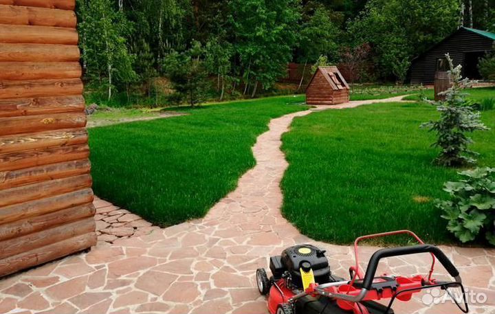 Рулонный газон с доставкой