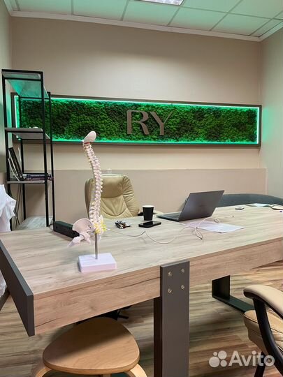 Услуги озеленения