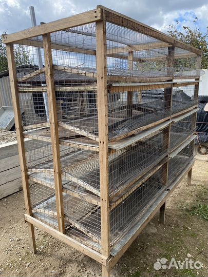 Перепелятник