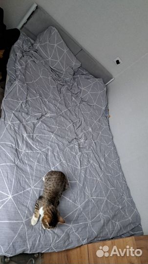 Кровать двухспальная с матрасом бу 140 на 200